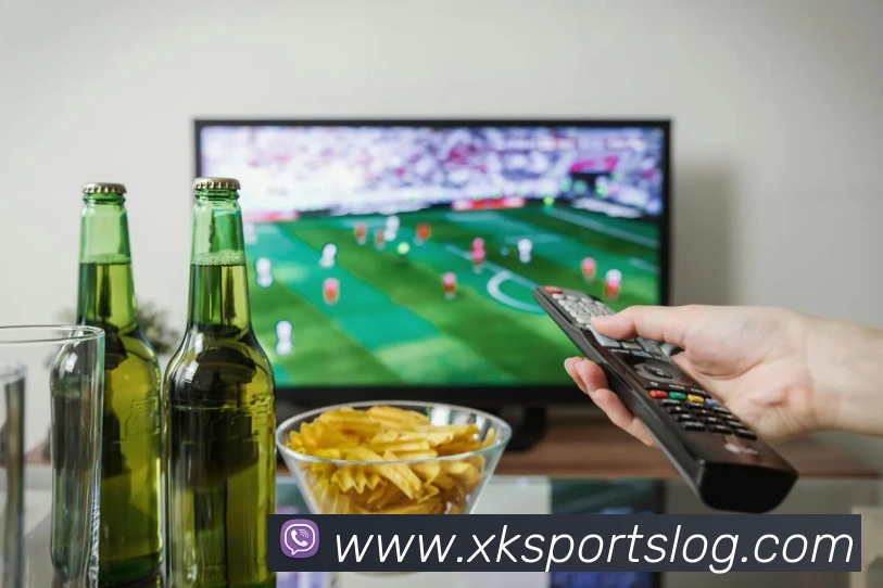 星空体育平台生态图